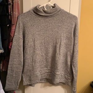 Aritzia “Community” turtle neck sweater
